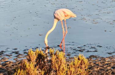 Sophia' s house appartamento Quartello - Photo 3