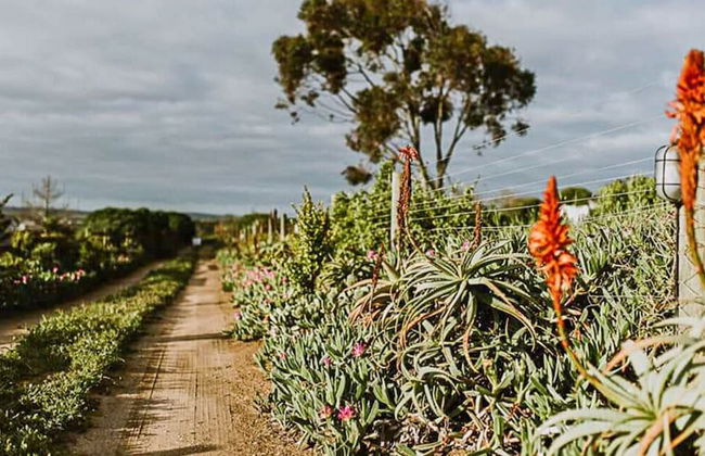 The Stables Cottages - Foto 57