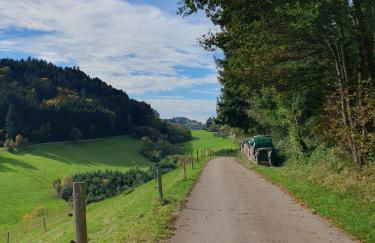 Am Siegelbächle Berg blickt - Foto 48