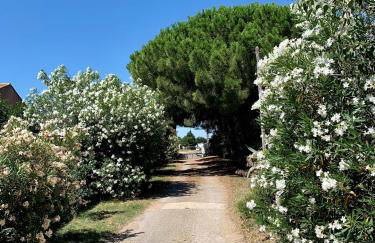 Mas de Plisset - Foto 20