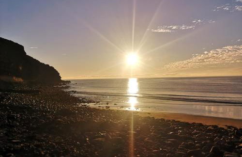 Wild House - Photo 34