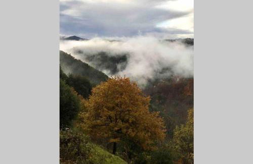 La Pellegrine, Parc national des Cévennes - Foto 52