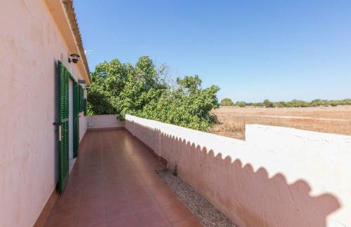 Short De Son Fideu - Foto 25