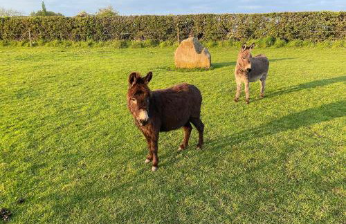 The Old Carthouse - Foto 19