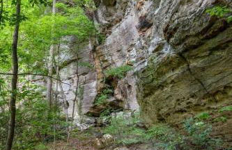 Beech Timber- 30 Acre Secluded Glamping in RRG - Foto 30