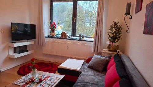 Ferienwohnung Haus Schöneck - Foto 3