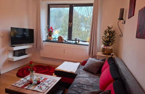 Ferienwohnung Haus Schöneck - Foto 3