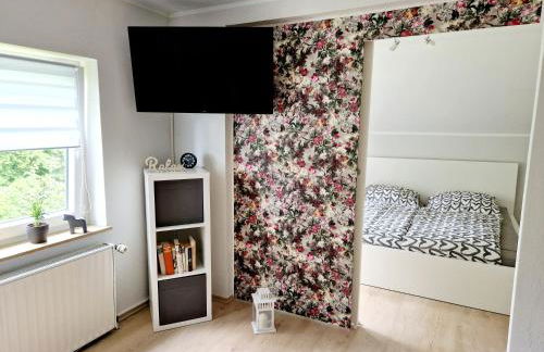 Friesenparadies FRI-Südliches Friesland - Foto 8