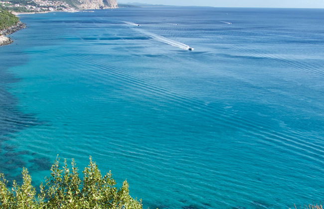 Immersione per principianti nel Golfo di Orosei - Foto 1