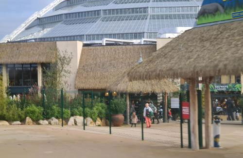 Domaine des Aulnaies - Beauval - Mareuil sur Cher - Foto 57