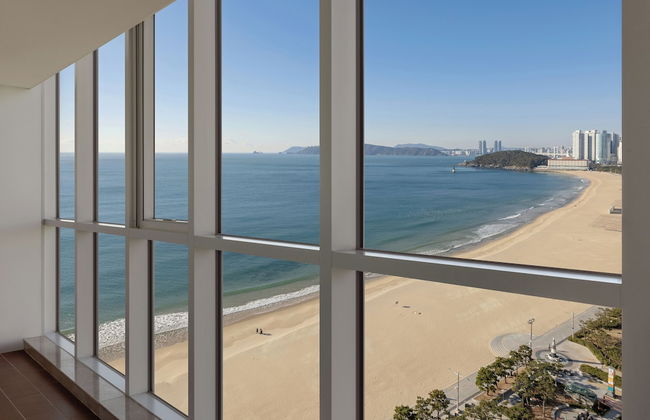 Pale De CZ - Foto 35