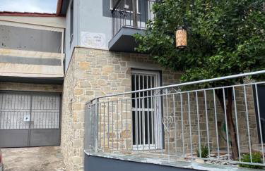 Lemon Tree - Photo 1