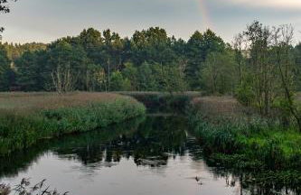 Agroturystyka Borówka - Foto 68
