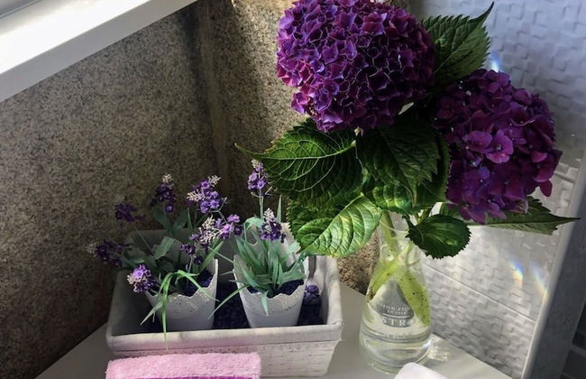 Casa Pedro e Ines - Foto 29