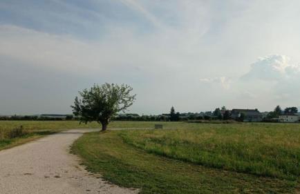 Villa Elodie - Foto 56