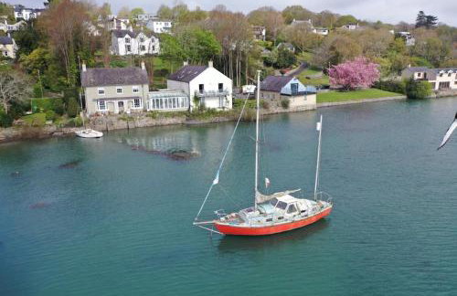 The Old Mill, Deluxe holiday home with a view - Foto 72