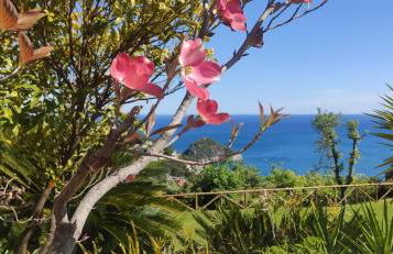 Il giardino sull'isola - Appartamento - Bergeggi - Foto 25