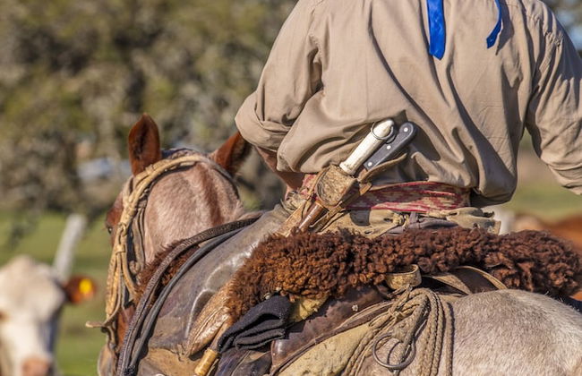 Estancia San Agustín - Foto 19