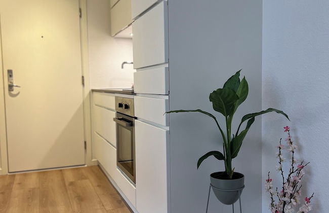 Cozy Flats Silkeborg - S2 - Foto 6