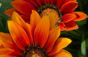 Stylish house in Alentejo - Foto 29