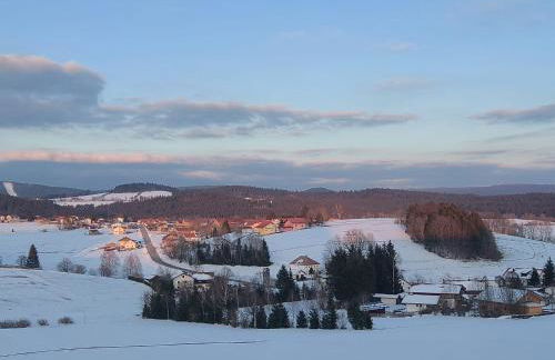 Ferienwohnung Reinhold in Schönbrunn am Lusen - Foto 18