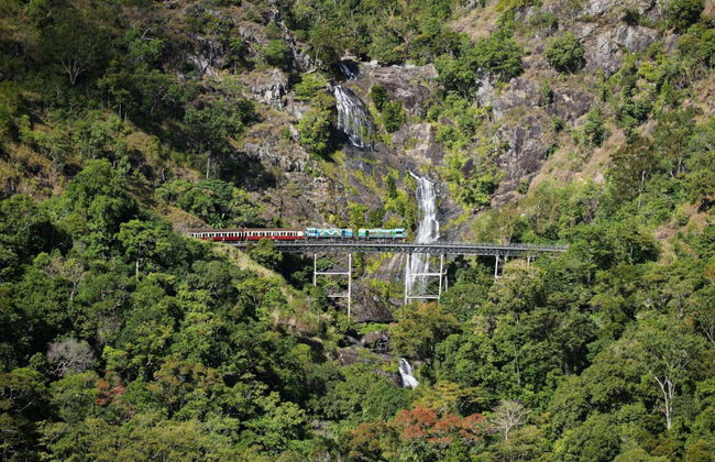 Day Trip to Kuranda: Scenic Rail and Skyrail - Photo 2