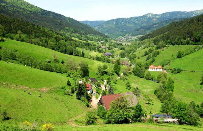 Lush Apartment in Furtwangen near Black Forest with Balcony - Foto 37