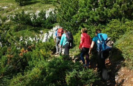 Olive Grove House - Foto 55