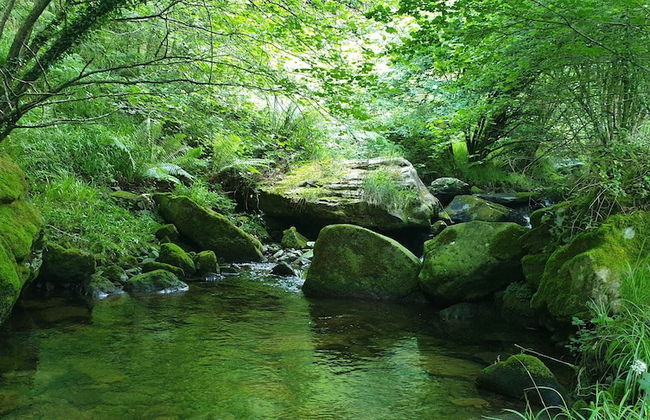 Molino de Yera - Foto 61