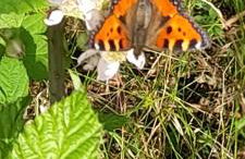 K1 SPA Rural - Photo 30