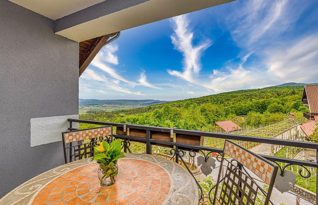 Vineyard Homestead Vrtin - Foto 9