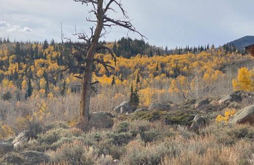 Red-tail Roundhouse at 22 West Cabins and Recreation - Foto 22