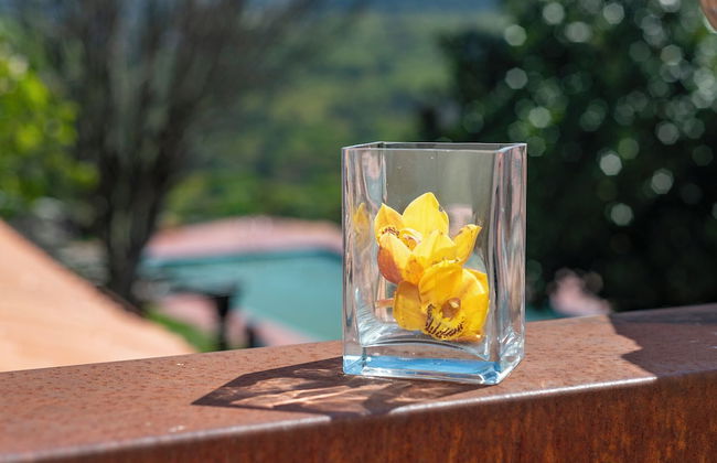 Rectoral de Fofe - Foto 24