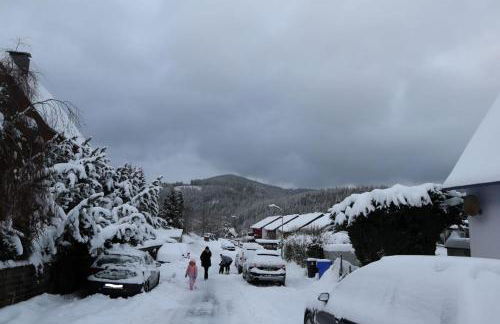 Birkenstübchen - Foto 45