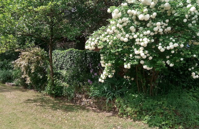 La Casa dei Ricordi in Buti - Foto 3