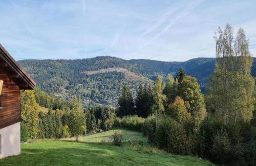 Ventron Chalet with Hill Views - Foto 33