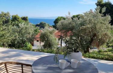 Stone build suite with private pool - Foto 19