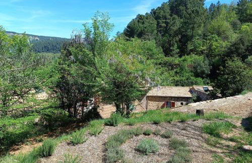 Aqua Terra Silva - Photo 23
