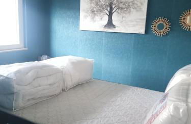 Clair de lune - Foto 1