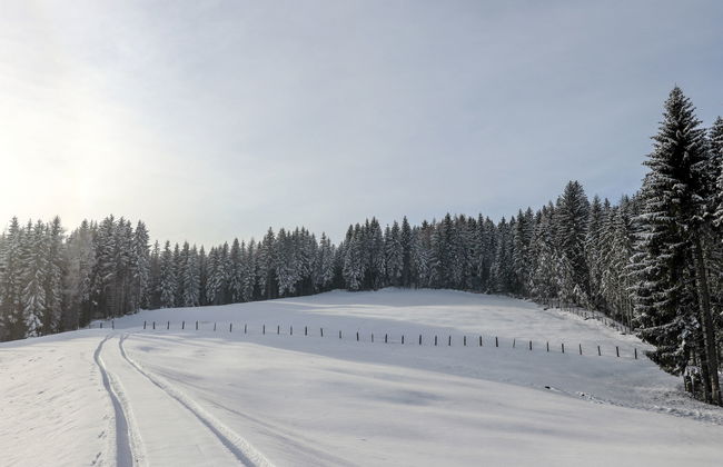 Schönhart - Foto 21