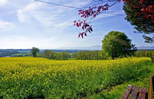 Paulhof am Chiemsee - Photo 6
