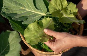 TEKOÁ - Cabana Pitanga - Barreiro, Araxá - Foto 31