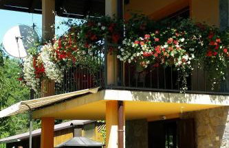 Holiday house with a parking space Jakovci Netreticki, Karlovac - 20279 - Foto 17