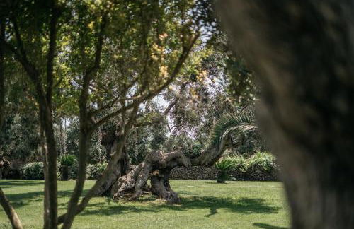 Tenuta Monacelli Lecce - Foto 50