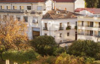 Le JOYAU loft historique et arboré avec garage - Foto 2