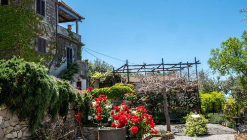 Torre Cangiani - Foto 5, Garden