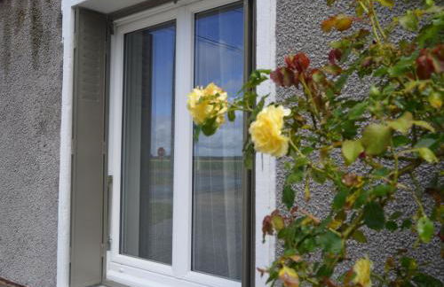 Maison de campagne calme avec jardin, proche du Zoo de Beauval et châteaux de la Loire - FR-1-591-84 - Photo 5