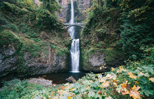 Excursão às Multnomah Falls e ao Monte Hood - Foto 2