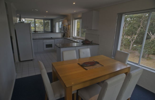 Apollo Apartments - Photo 9