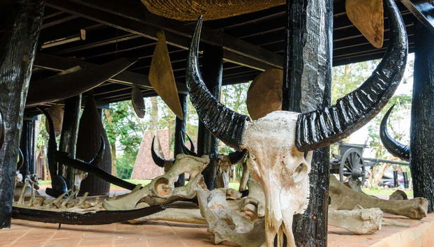 Chiang Rai Motorbike Hire - Photo 4